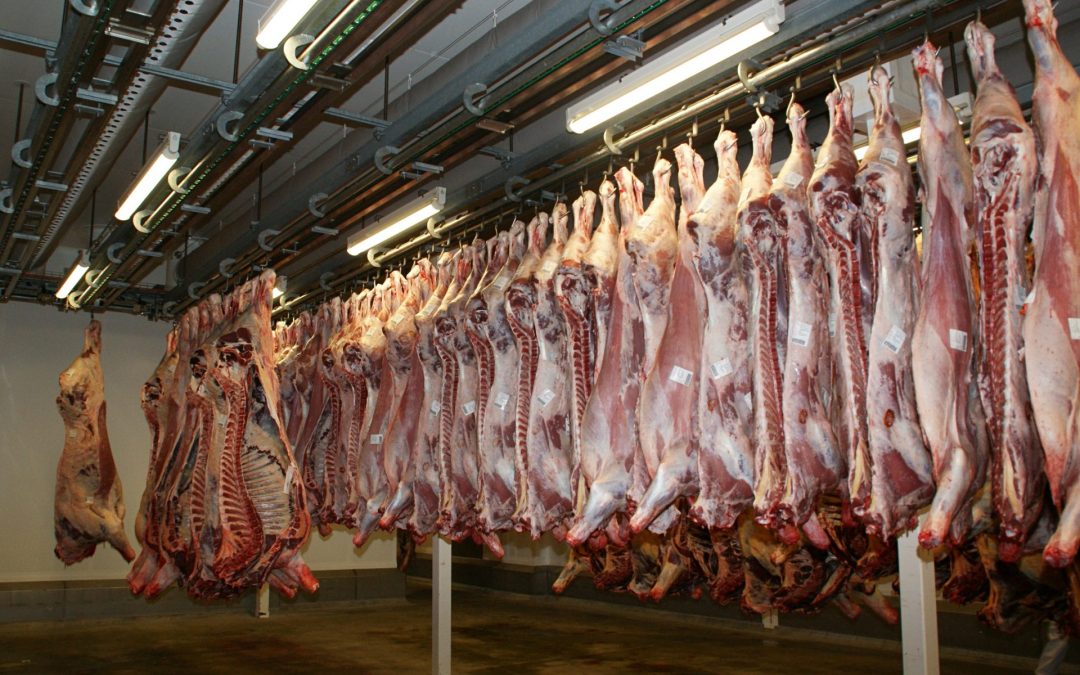 Holding and Animal Identification and Registration (HAI&R) in Armenia: Preparation- Strengthening of the Animal Health and Animal Breeding and Administrative Capacities 2018-2021
