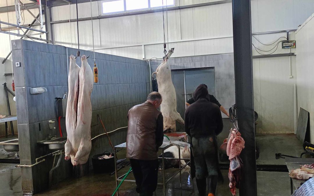 ԿՀՀ համակարգը Վրաստանում